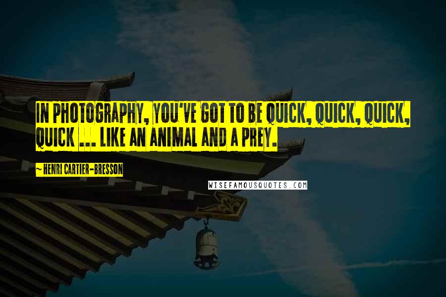 Henri Cartier-Bresson Quotes: In photography, you've got to be quick, quick, quick, quick ... Like an animal and a prey.