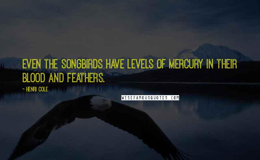 Henri Cole Quotes: Even the songbirds have levels of mercury in their blood and feathers.