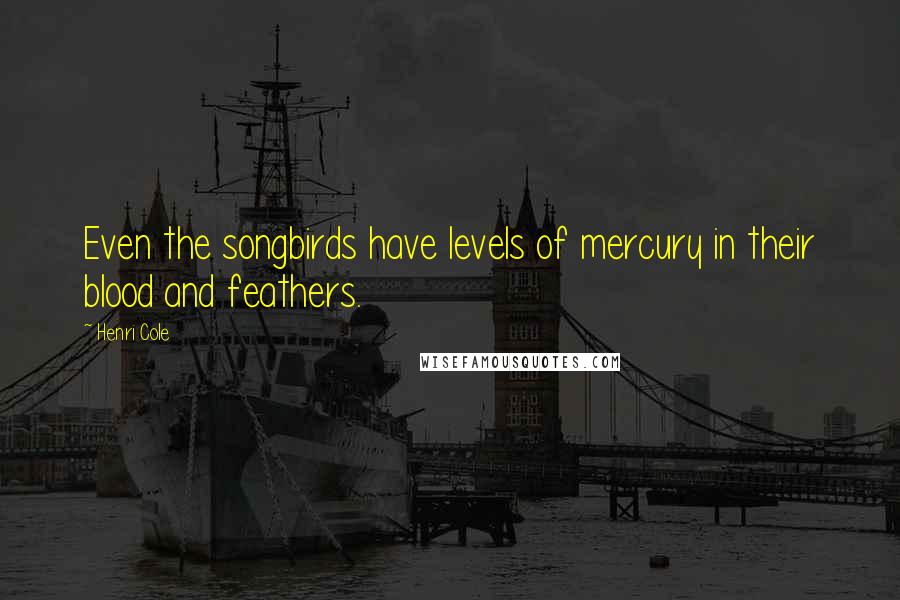 Henri Cole Quotes: Even the songbirds have levels of mercury in their blood and feathers.
