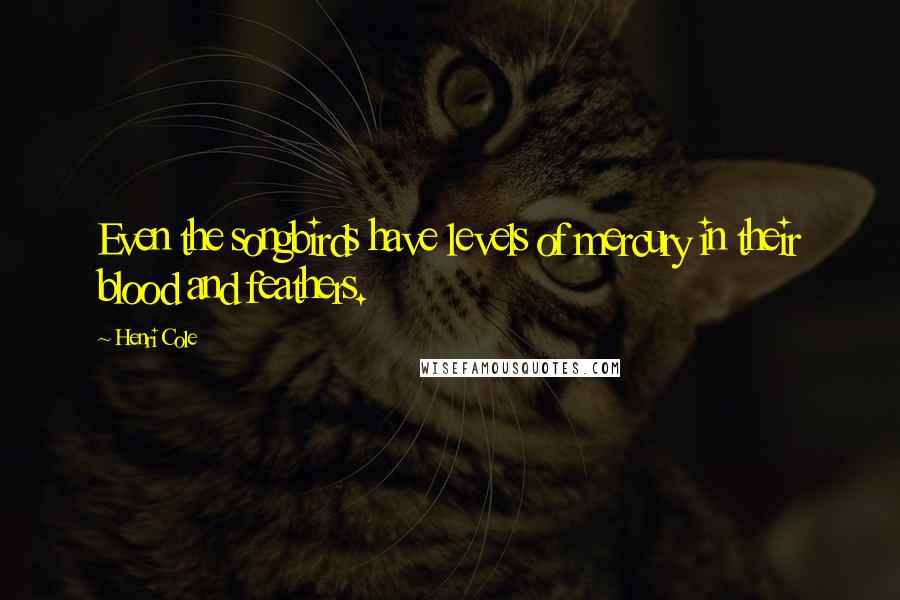 Henri Cole Quotes: Even the songbirds have levels of mercury in their blood and feathers.