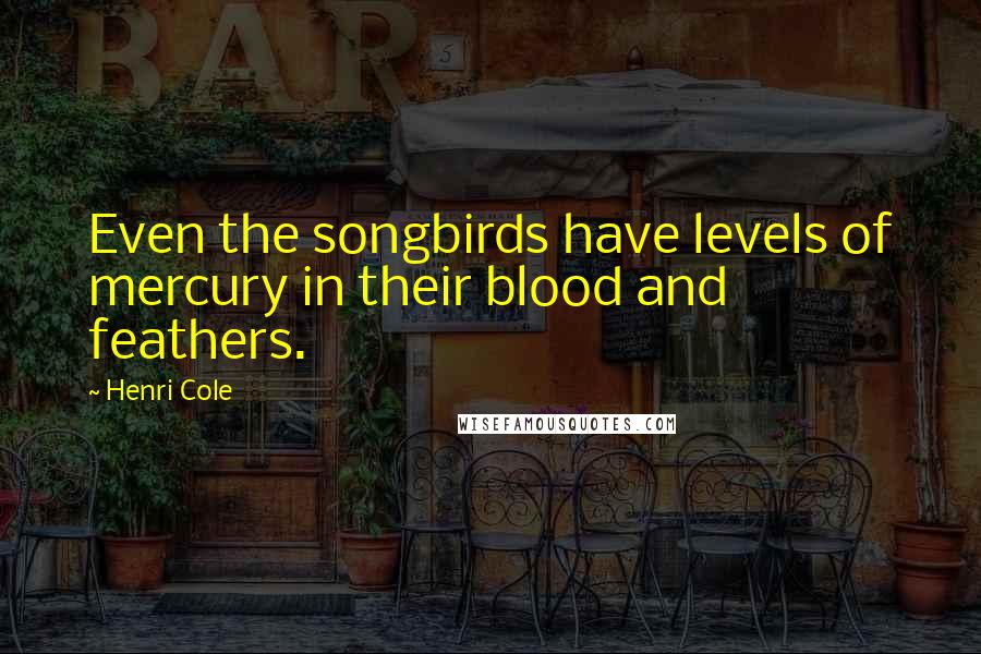 Henri Cole Quotes: Even the songbirds have levels of mercury in their blood and feathers.