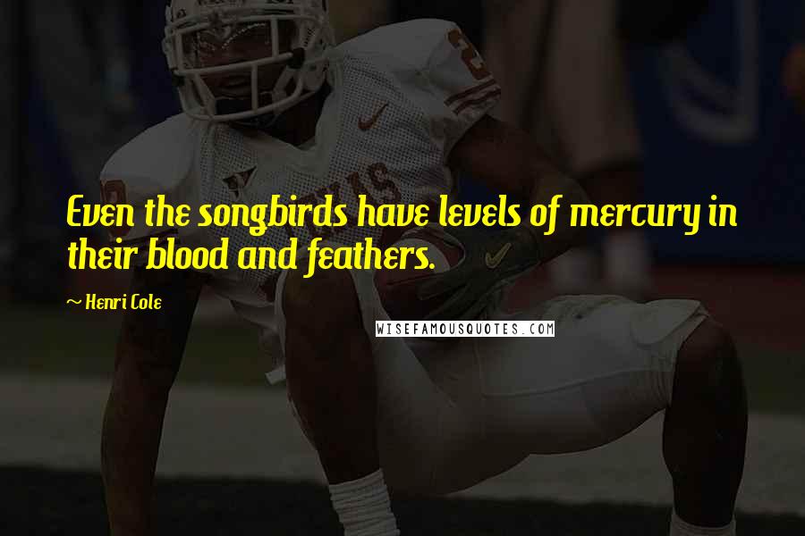 Henri Cole Quotes: Even the songbirds have levels of mercury in their blood and feathers.