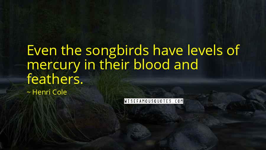 Henri Cole Quotes: Even the songbirds have levels of mercury in their blood and feathers.