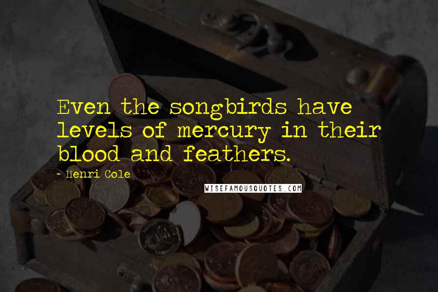 Henri Cole Quotes: Even the songbirds have levels of mercury in their blood and feathers.
