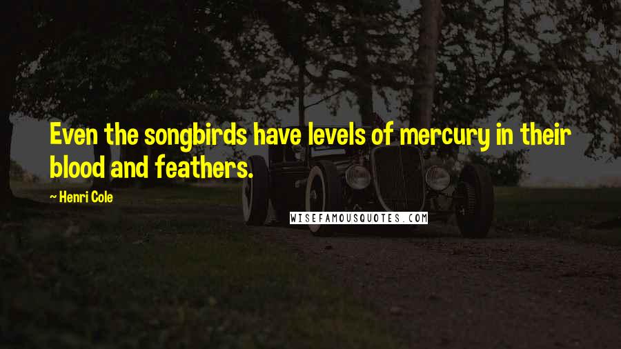 Henri Cole Quotes: Even the songbirds have levels of mercury in their blood and feathers.