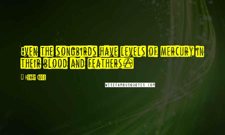 Henri Cole Quotes: Even the songbirds have levels of mercury in their blood and feathers.