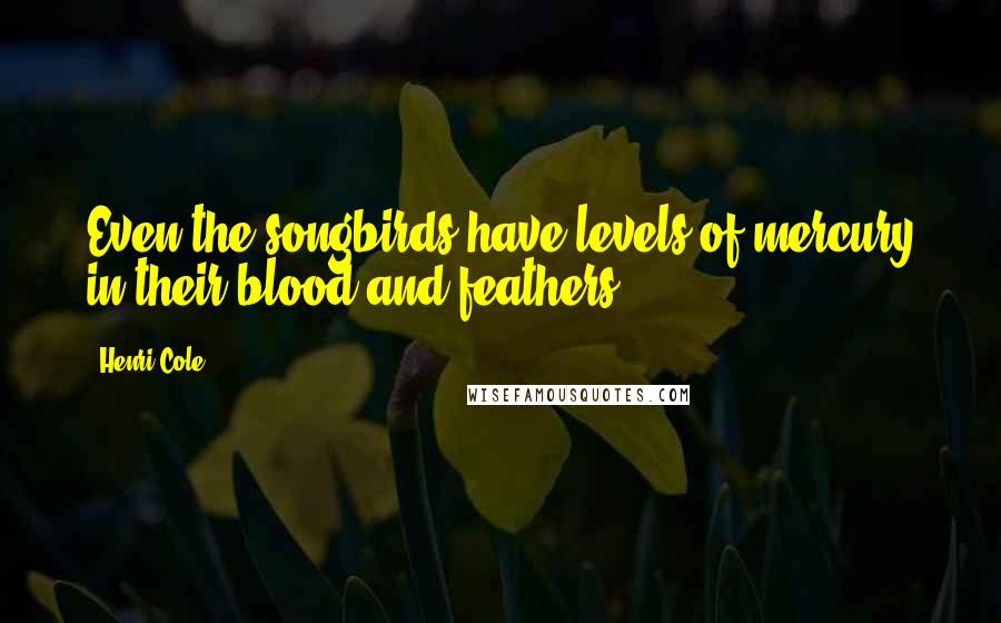 Henri Cole Quotes: Even the songbirds have levels of mercury in their blood and feathers.