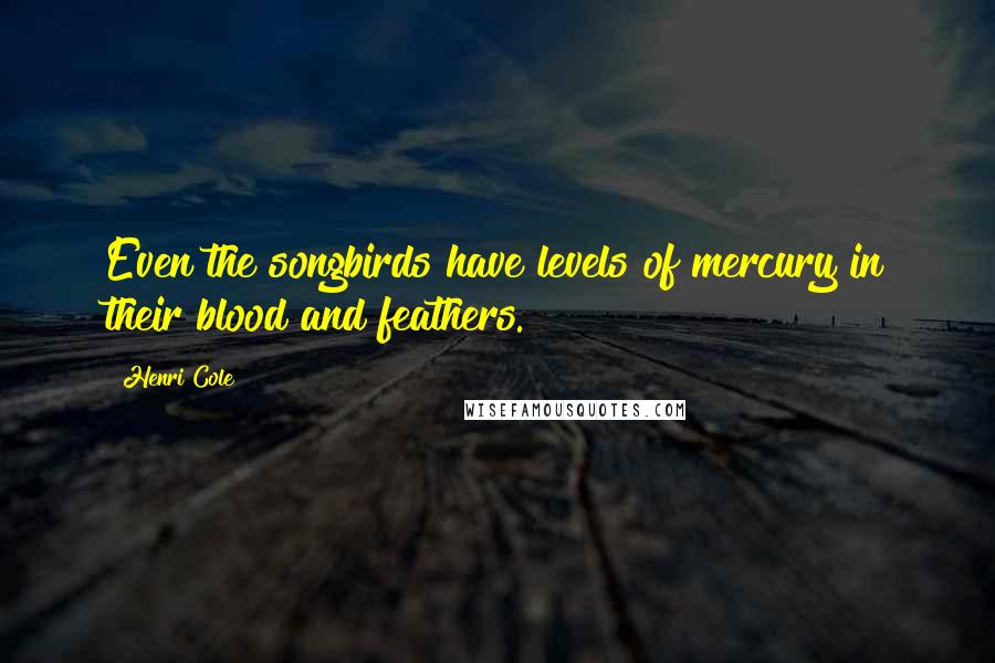 Henri Cole Quotes: Even the songbirds have levels of mercury in their blood and feathers.