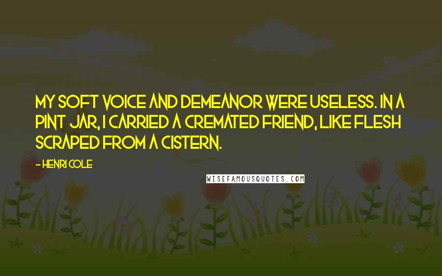 Henri Cole Quotes: My soft voice and demeanor were useless. In a pint jar, I carried a cremated friend, like flesh scraped from a cistern.