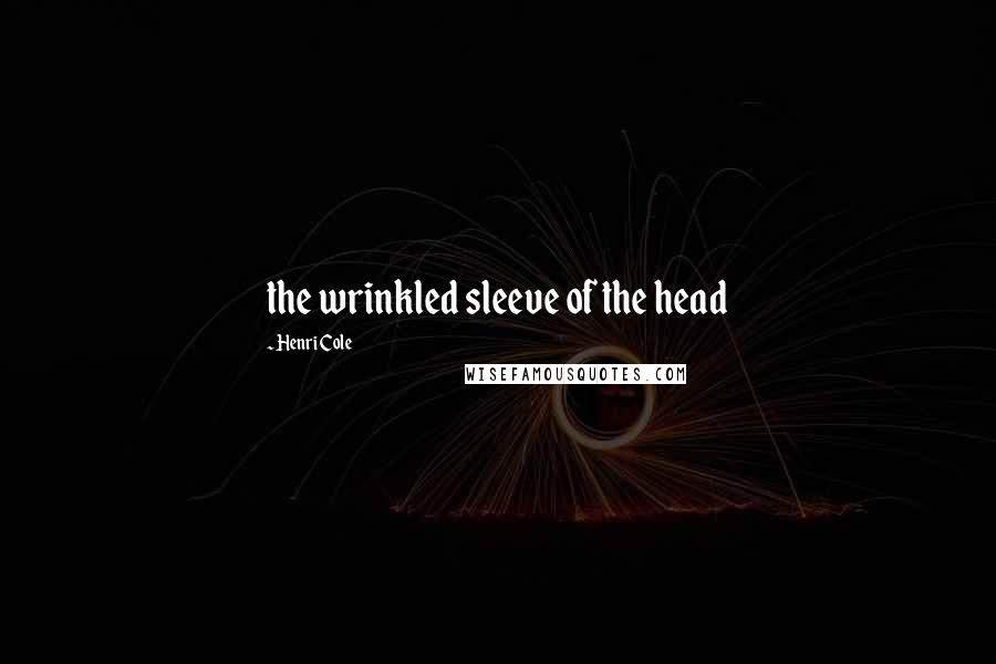 Henri Cole Quotes: the wrinkled sleeve of the head