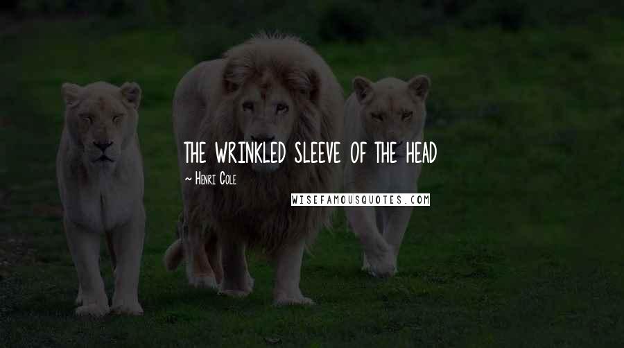Henri Cole Quotes: the wrinkled sleeve of the head