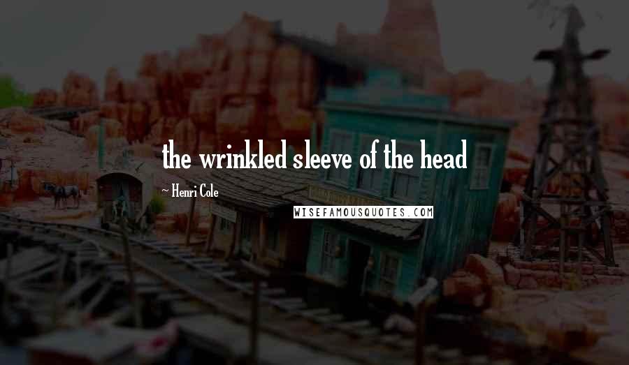 Henri Cole Quotes: the wrinkled sleeve of the head