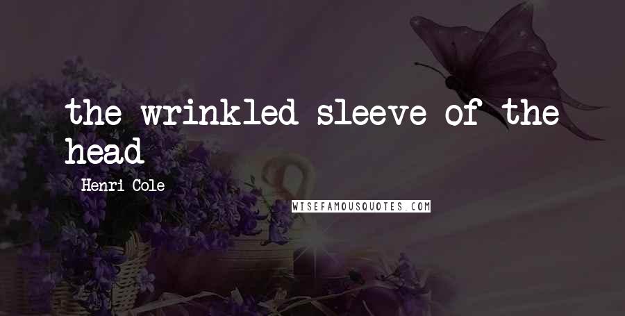 Henri Cole Quotes: the wrinkled sleeve of the head