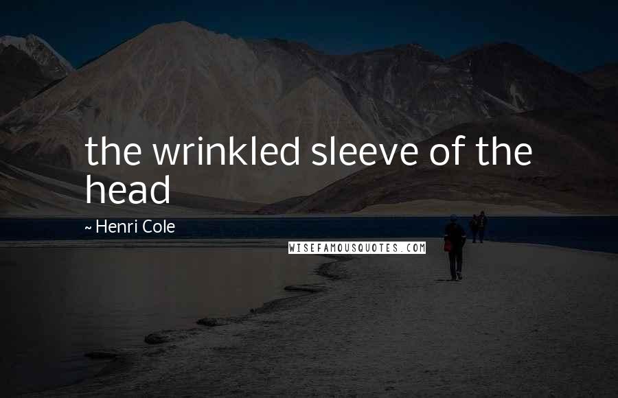 Henri Cole Quotes: the wrinkled sleeve of the head