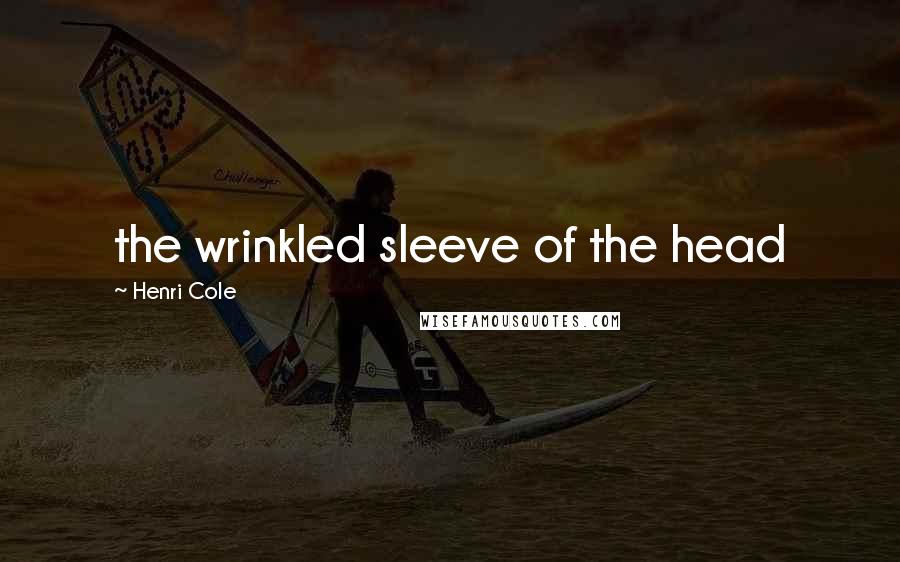 Henri Cole Quotes: the wrinkled sleeve of the head