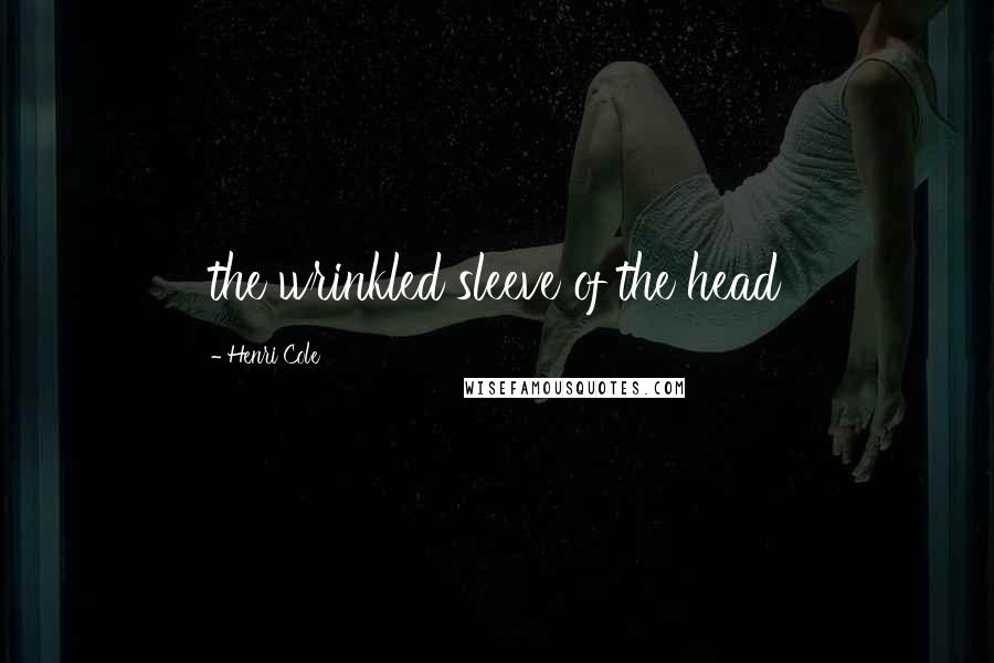 Henri Cole Quotes: the wrinkled sleeve of the head
