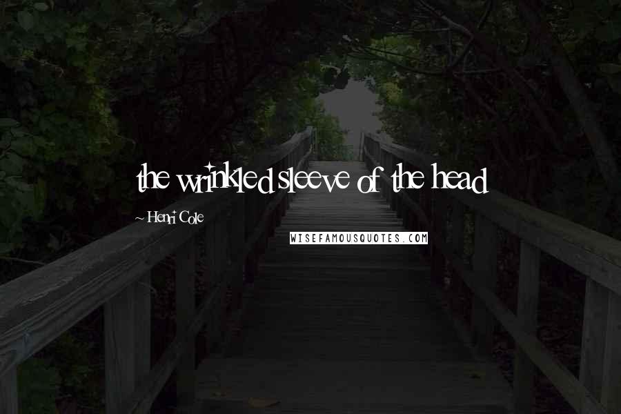 Henri Cole Quotes: the wrinkled sleeve of the head