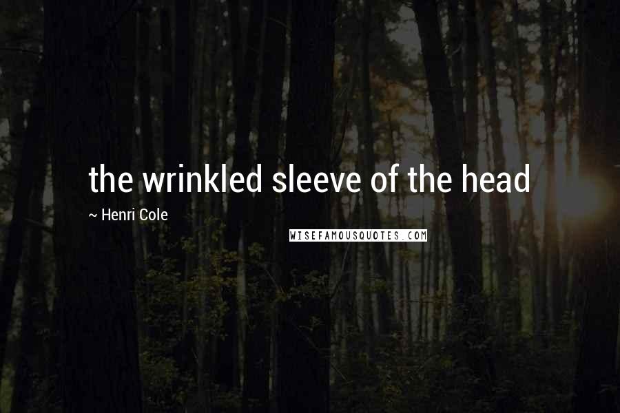 Henri Cole Quotes: the wrinkled sleeve of the head