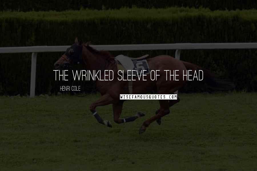 Henri Cole Quotes: the wrinkled sleeve of the head