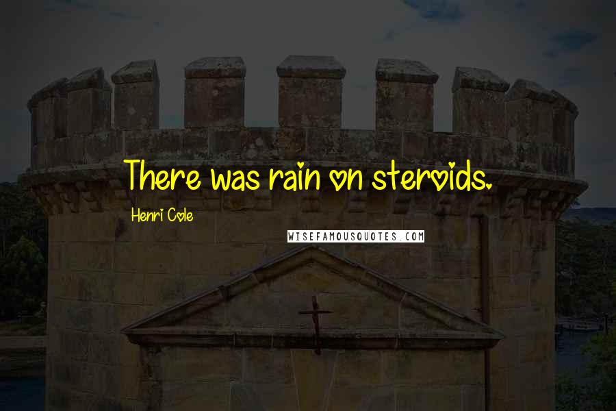 Henri Cole Quotes: There was rain on steroids.