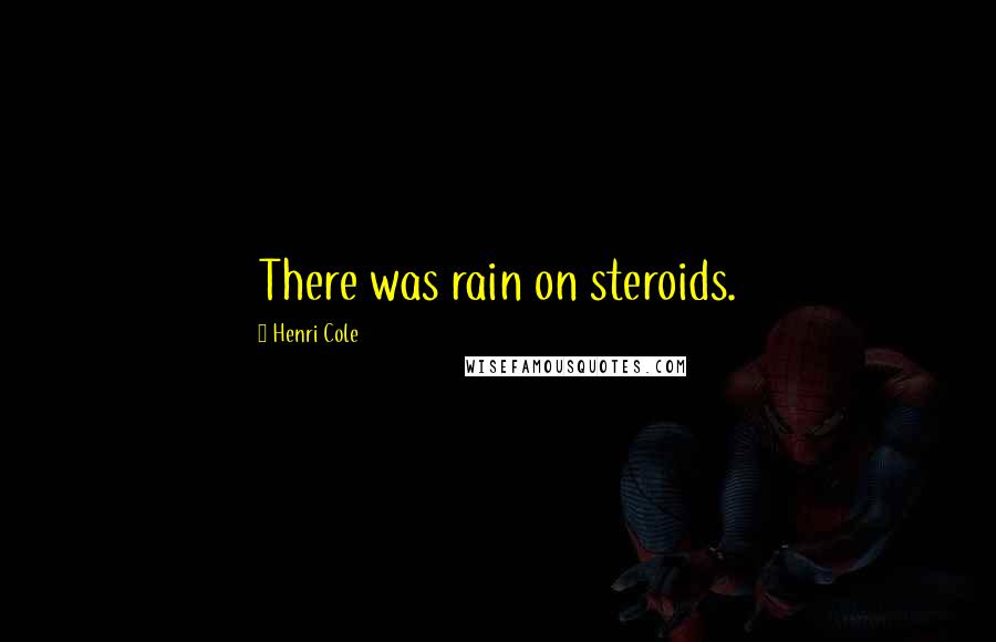 Henri Cole Quotes: There was rain on steroids.