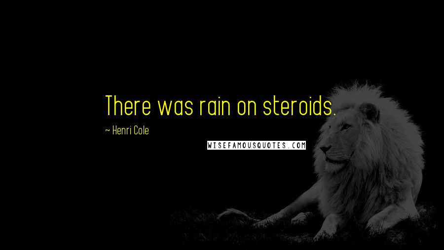 Henri Cole Quotes: There was rain on steroids.