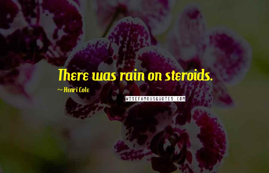 Henri Cole Quotes: There was rain on steroids.