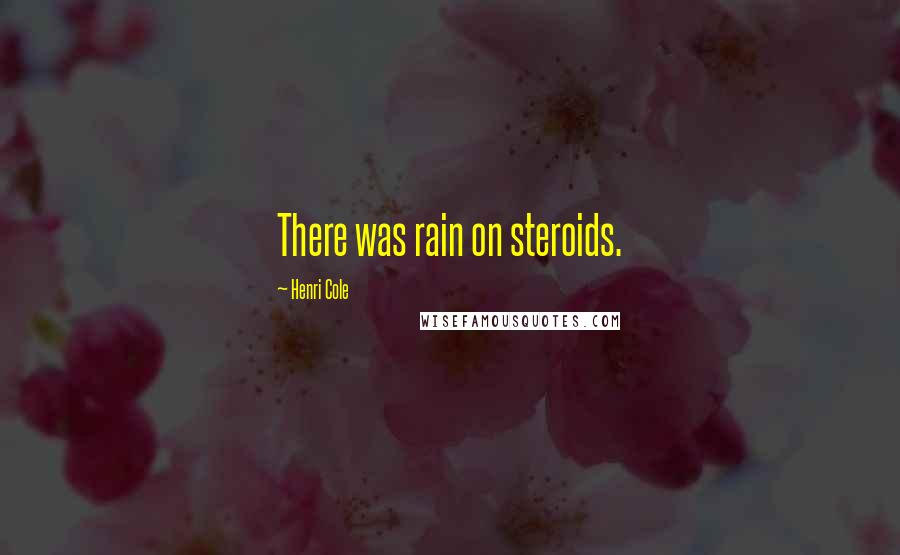 Henri Cole Quotes: There was rain on steroids.
