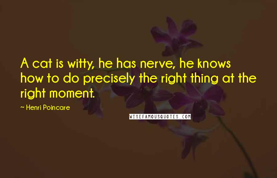 Henri Poincare Quotes: A cat is witty, he has nerve, he knows how to do precisely the right thing at the right moment.