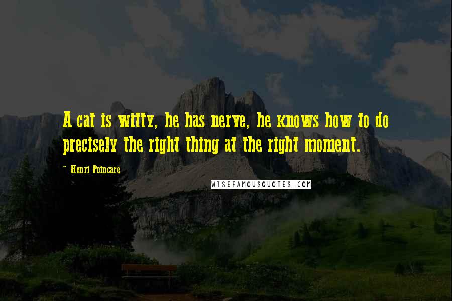 Henri Poincare Quotes: A cat is witty, he has nerve, he knows how to do precisely the right thing at the right moment.