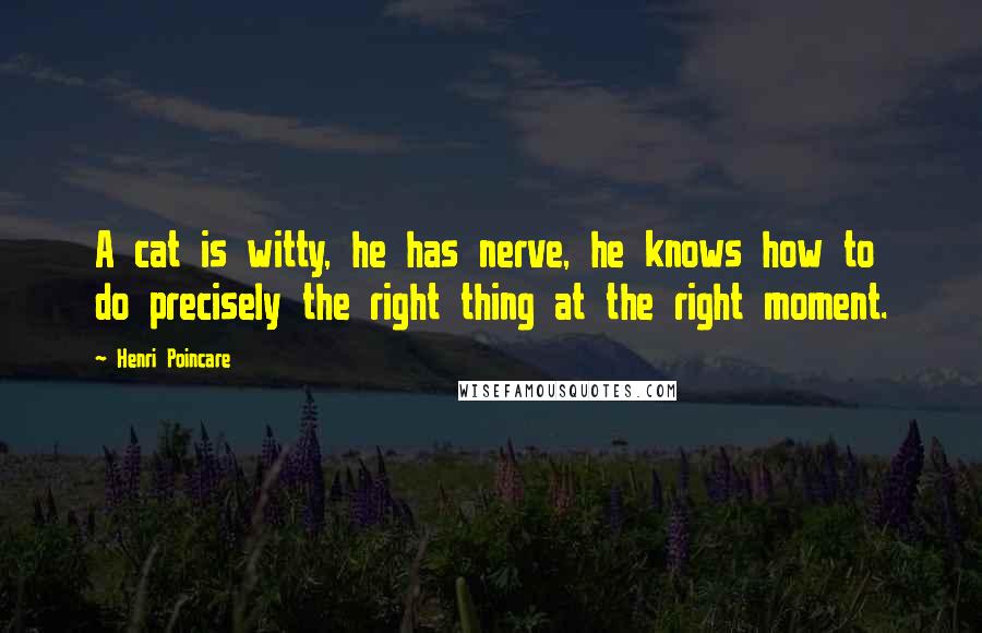 Henri Poincare Quotes: A cat is witty, he has nerve, he knows how to do precisely the right thing at the right moment.