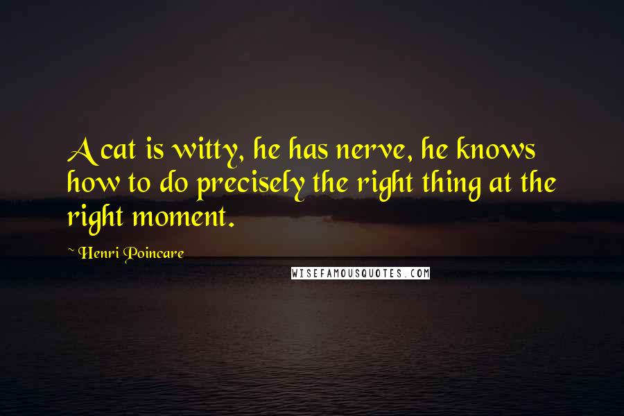 Henri Poincare Quotes: A cat is witty, he has nerve, he knows how to do precisely the right thing at the right moment.
