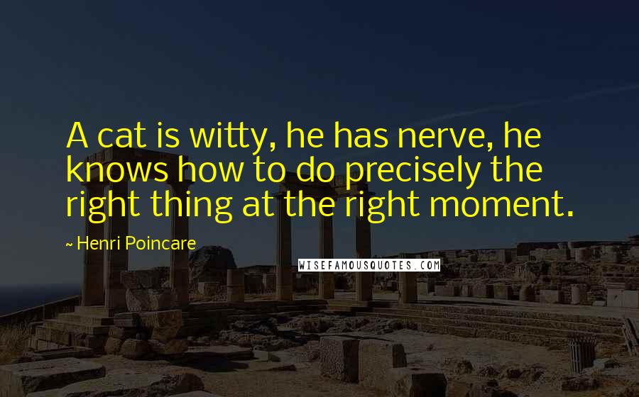 Henri Poincare Quotes: A cat is witty, he has nerve, he knows how to do precisely the right thing at the right moment.