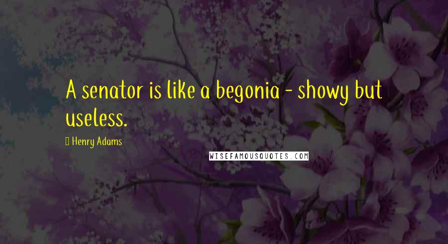 Henry Adams Quotes: A senator is like a begonia - showy but useless.