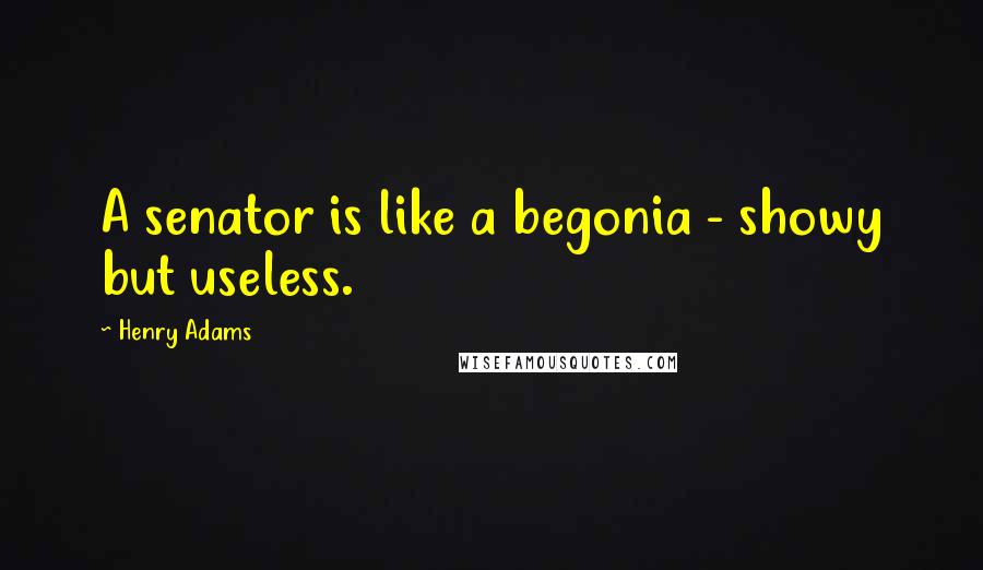 Henry Adams Quotes: A senator is like a begonia - showy but useless.