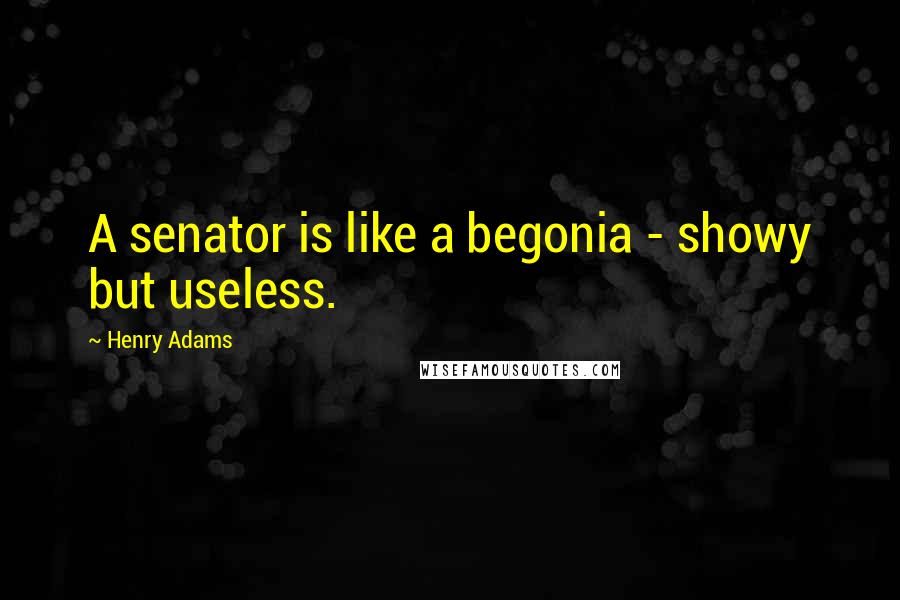 Henry Adams Quotes: A senator is like a begonia - showy but useless.