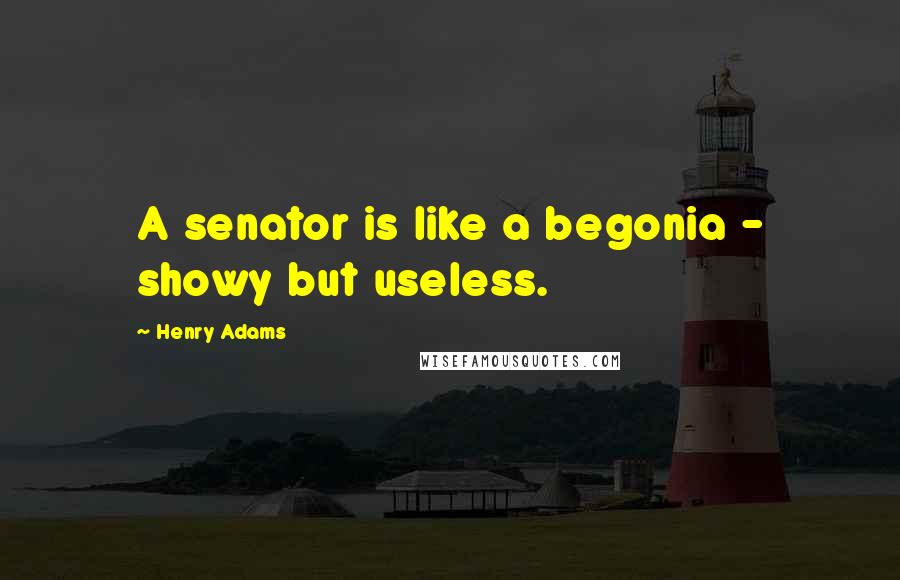 Henry Adams Quotes: A senator is like a begonia - showy but useless.