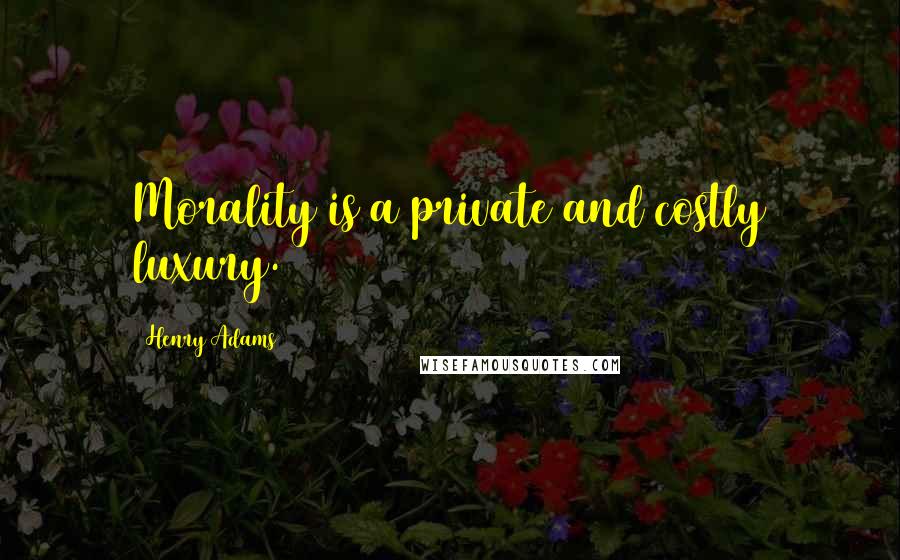 Henry Adams Quotes: Morality is a private and costly luxury.