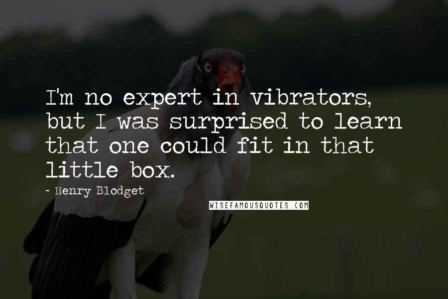 Henry Blodget Quotes: I'm no expert in vibrators, but I was surprised to learn that one could fit in that little box.