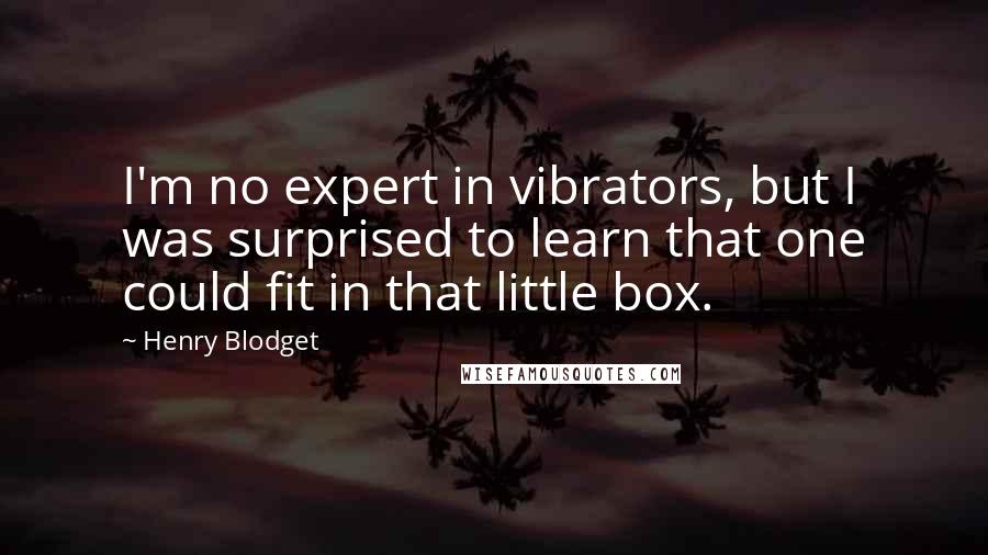 Henry Blodget Quotes: I'm no expert in vibrators, but I was surprised to learn that one could fit in that little box.