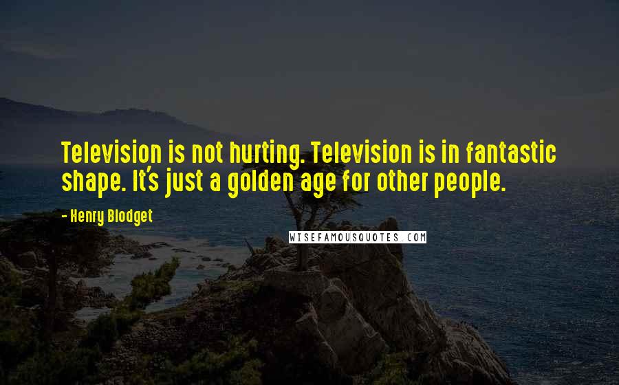 Henry Blodget Quotes: Television is not hurting. Television is in fantastic shape. It's just a golden age for other people.