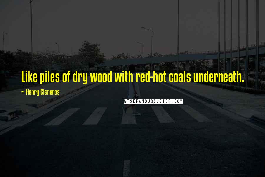 Henry Cisneros Quotes: Like piles of dry wood with red-hot coals underneath.