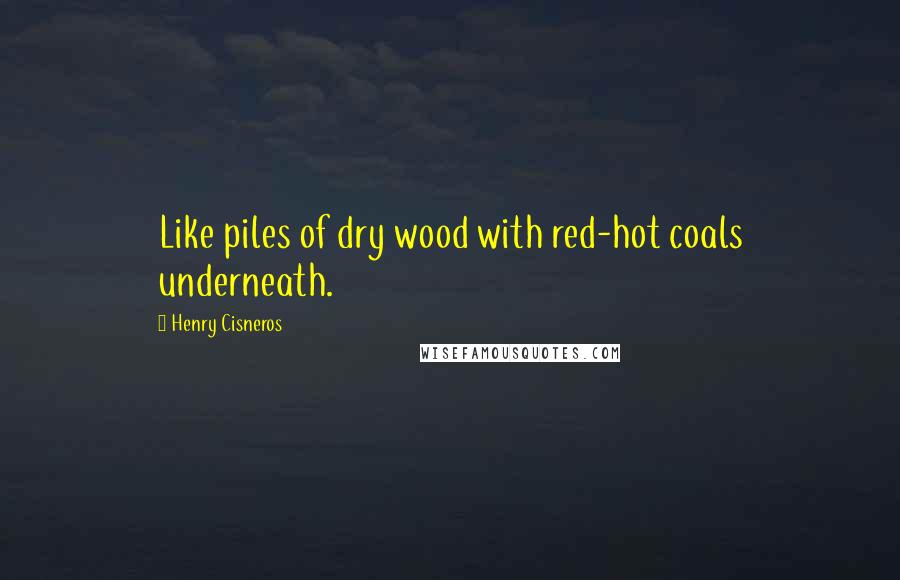 Henry Cisneros Quotes: Like piles of dry wood with red-hot coals underneath.