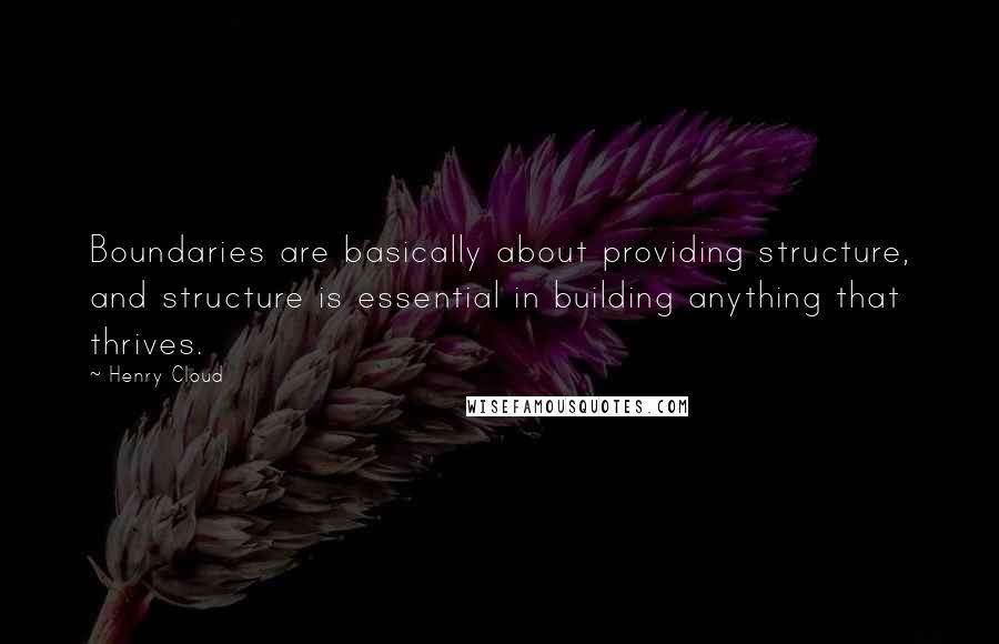 Henry Cloud Quotes: Boundaries are basically about providing structure, and structure is essential in building anything that thrives.