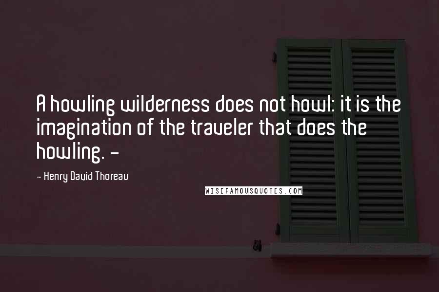 Henry David Thoreau Quotes: A howling wilderness does not howl: it is the imagination of the traveler that does the howling. -