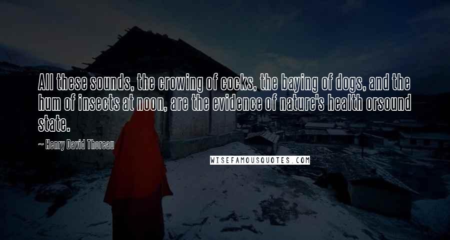 Henry David Thoreau Quotes: All these sounds, the crowing of cocks, the baying of dogs, and the hum of insects at noon, are the evidence of nature's health orsound state.