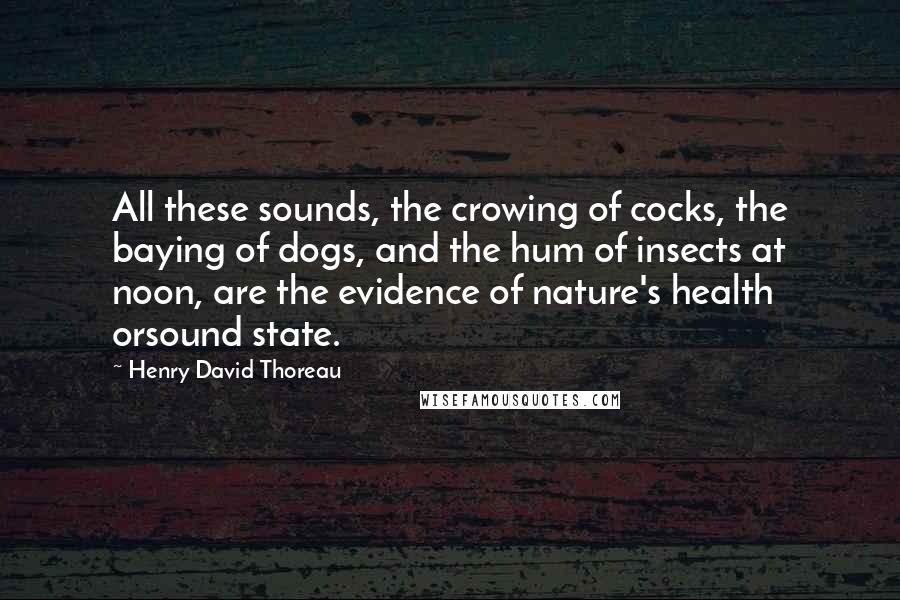 Henry David Thoreau Quotes: All these sounds, the crowing of cocks, the baying of dogs, and the hum of insects at noon, are the evidence of nature's health orsound state.