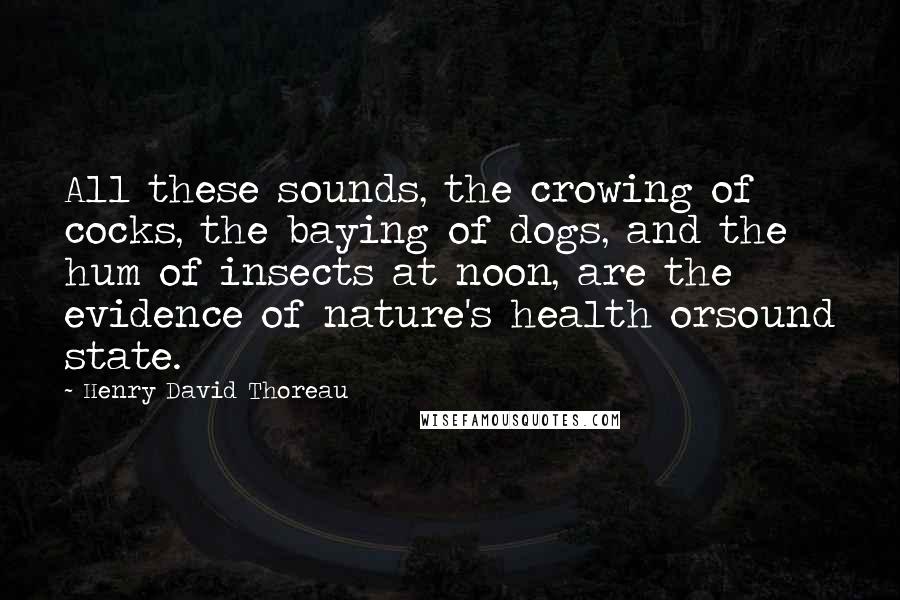 Henry David Thoreau Quotes: All these sounds, the crowing of cocks, the baying of dogs, and the hum of insects at noon, are the evidence of nature's health orsound state.