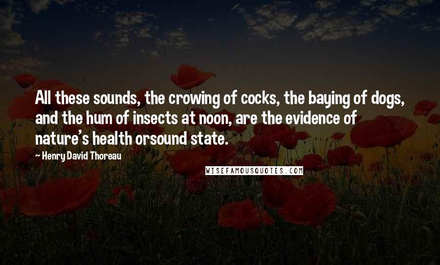 Henry David Thoreau Quotes: All these sounds, the crowing of cocks, the baying of dogs, and the hum of insects at noon, are the evidence of nature's health orsound state.