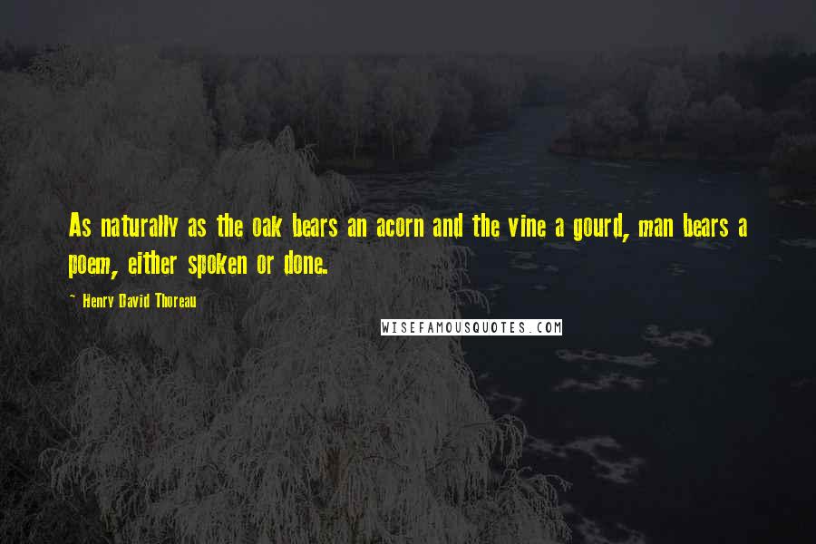 Henry David Thoreau Quotes: As naturally as the oak bears an acorn and the vine a gourd, man bears a poem, either spoken or done.